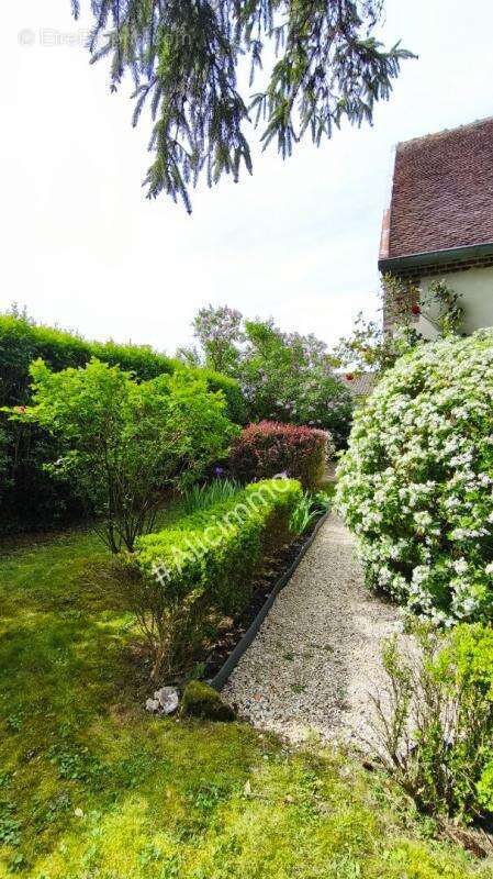 Maison Broyes 5 pièce(s) 163.5 m2 - photo 4