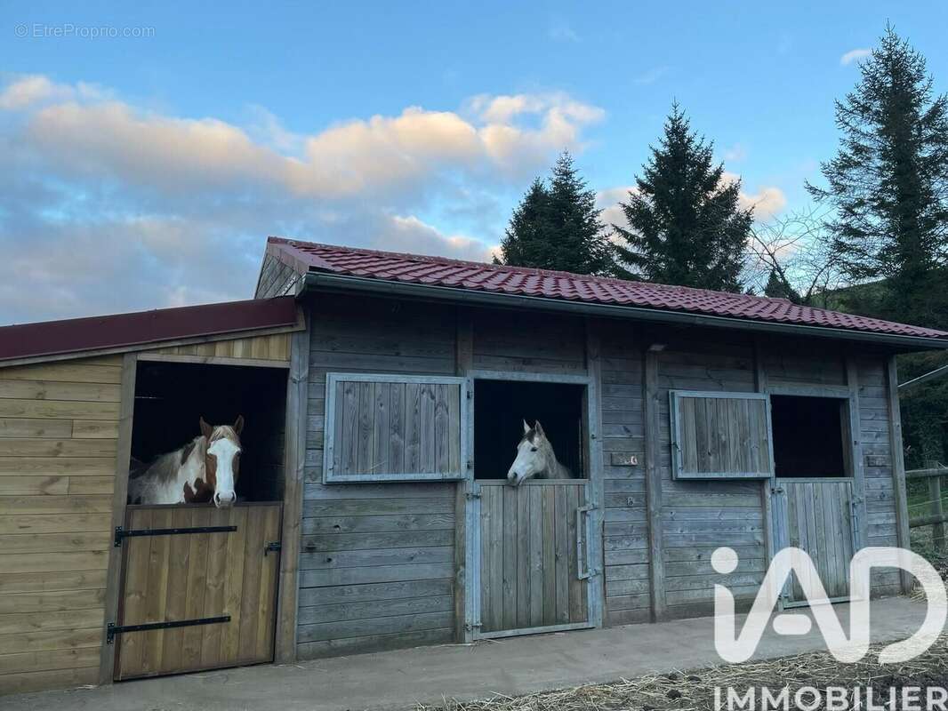 Photo 2 - Maison à ALEMBON