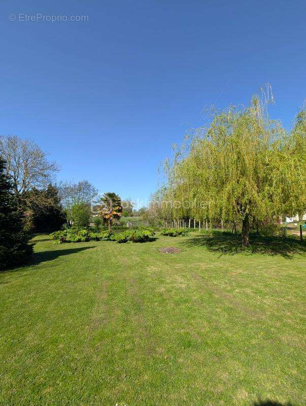 Maison à SAINT-SAUVEUR-LA-POMMERAYE