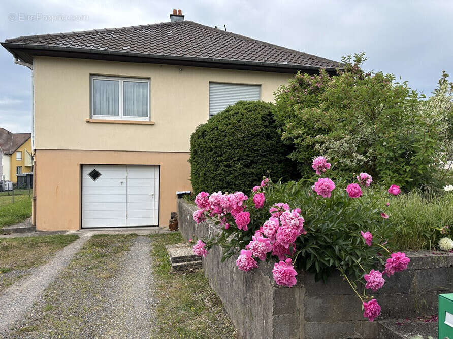 Maison à PHALSBOURG