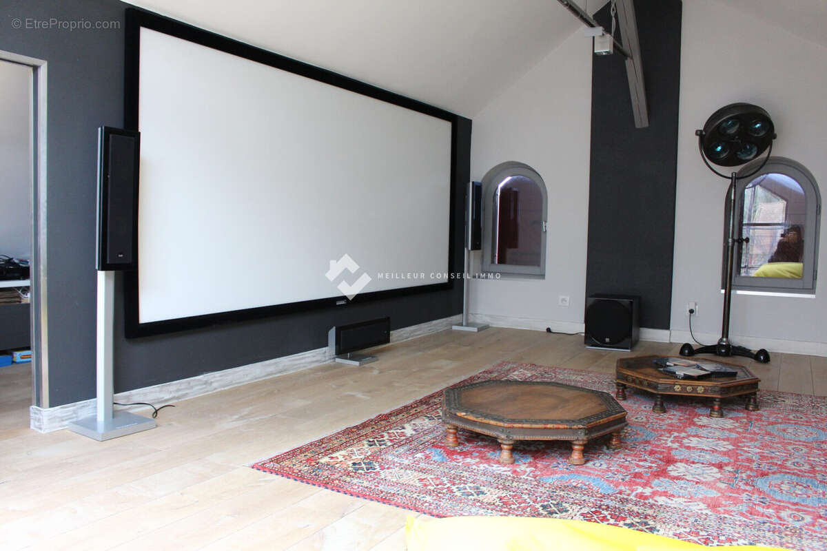 Maison 470 m² à Arthaz-Pont-Notre-Dame  - photo 7