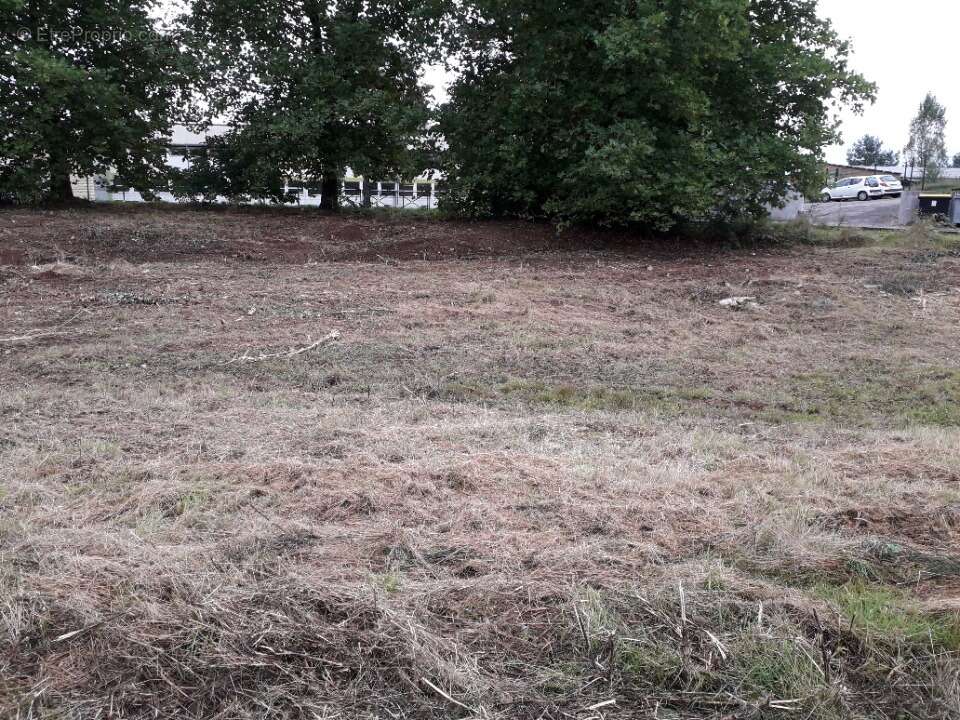 Terrain à FORBACH