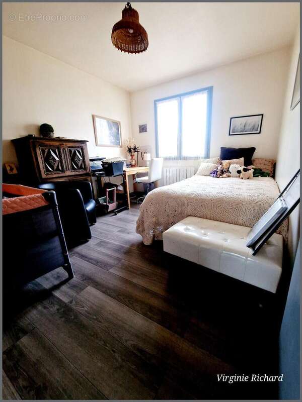 Photo 5