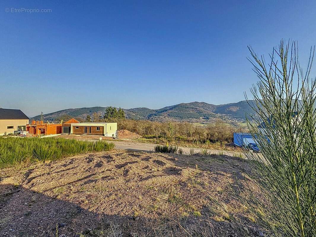 Terrain à LUTZELHOUSE