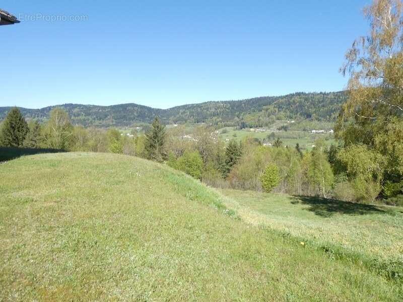 JULIENRUPT (88)à vendre , propriété T7 de 235m² , hangar extérieur , carport, terrain 8400m² - photo 3