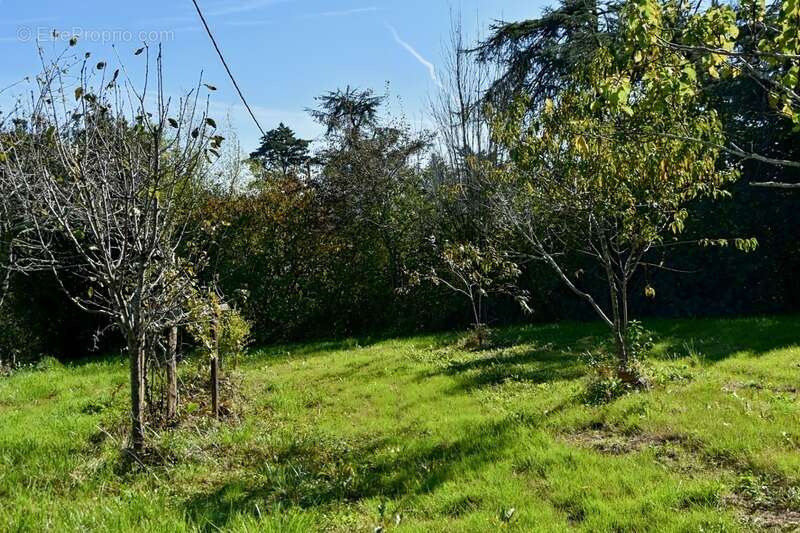 Maison à CASTELNAVET