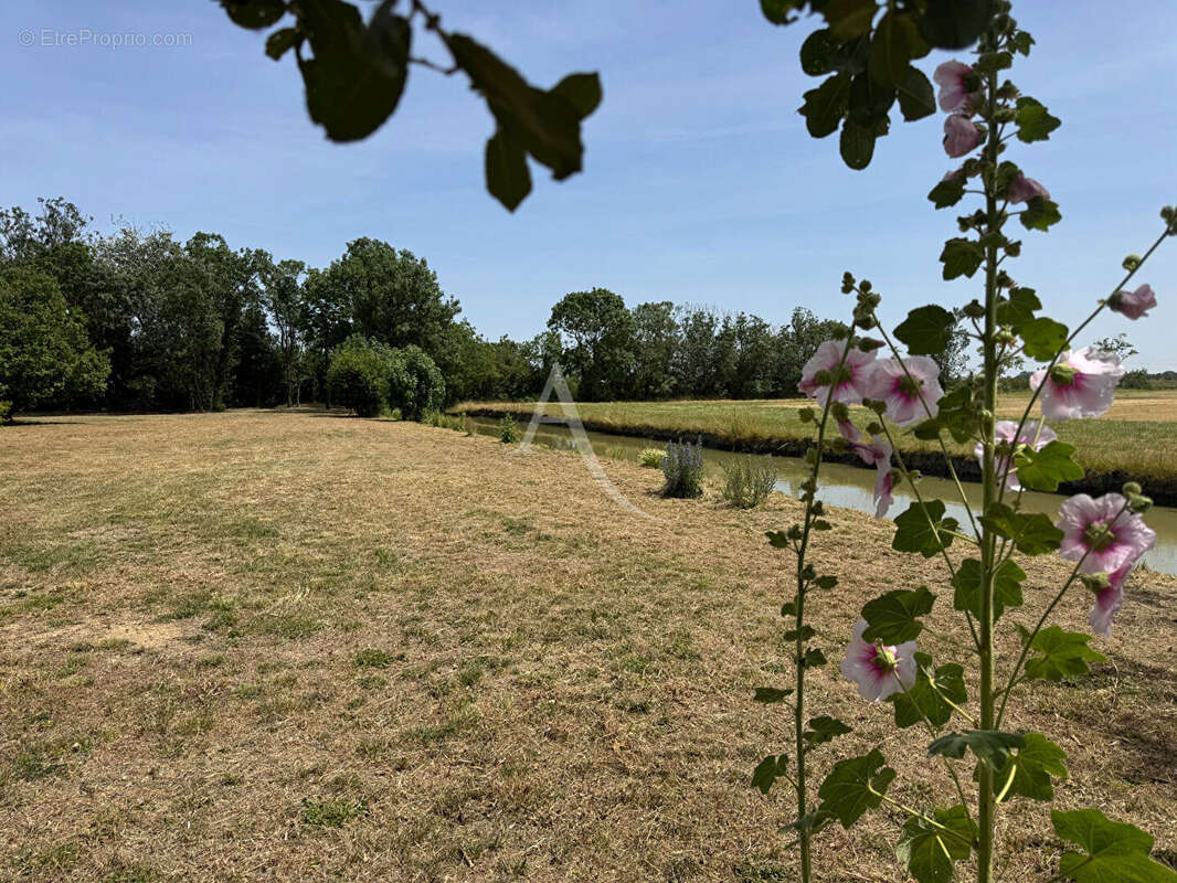 Authentique corps de ferme en pierres  - Plus de 11 hectares  - Un havre de paix aux portes de La Rochelle - photo 8