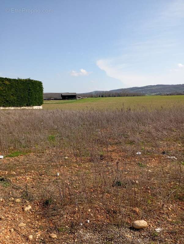 Terrain à ALBON