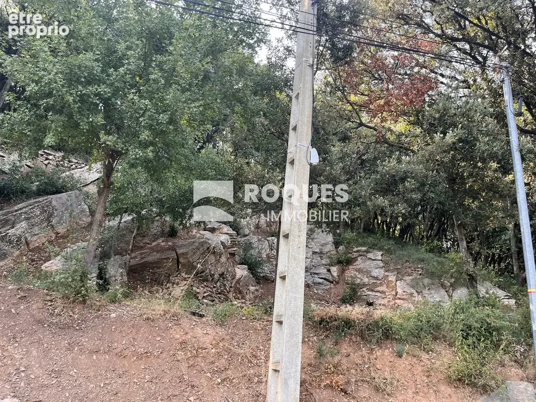 A vendre, Cabrerolles Terrain à bâtir - photo 3