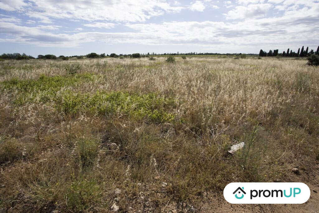 Terrain à SAINT-HIPPOLYTE