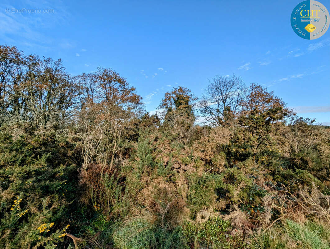 Terrain boisé / parcelle de loisirs   campagne de monteneuf (56380) avec cht immobilier - photo 6