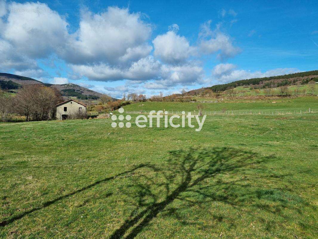 Maison 60 m² à Paulhac-En-Margeride  - photo 10