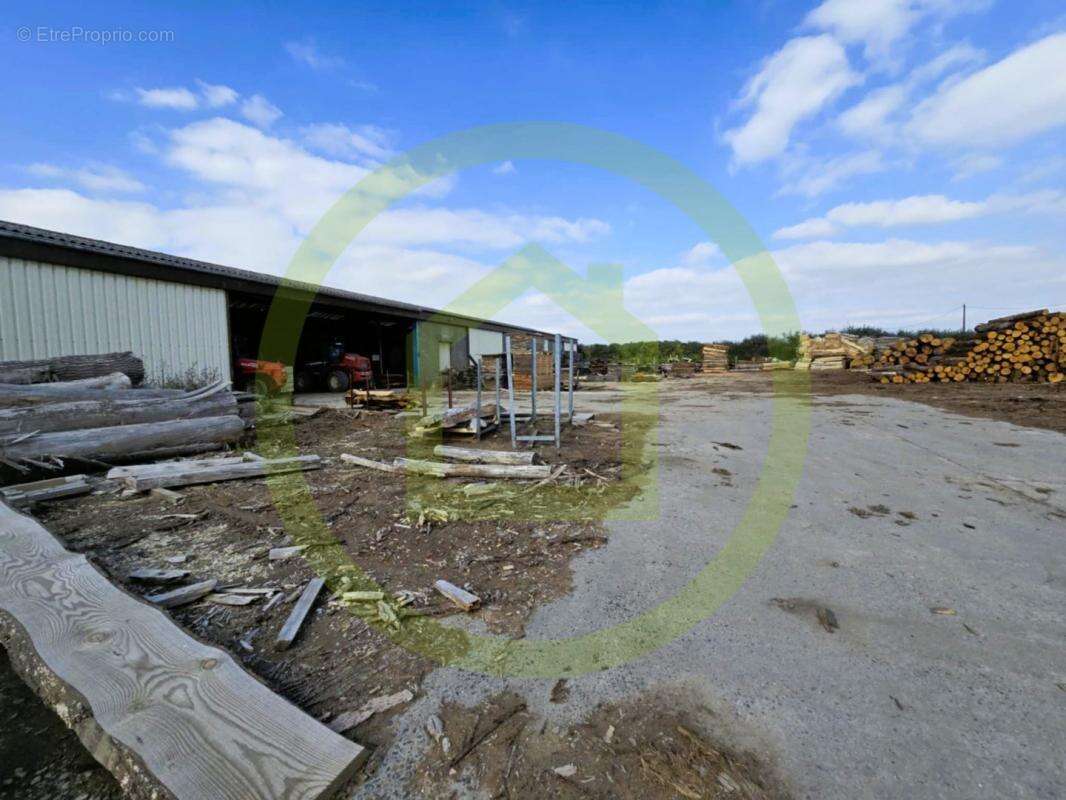 Commerce à CELLES-SUR-BELLE