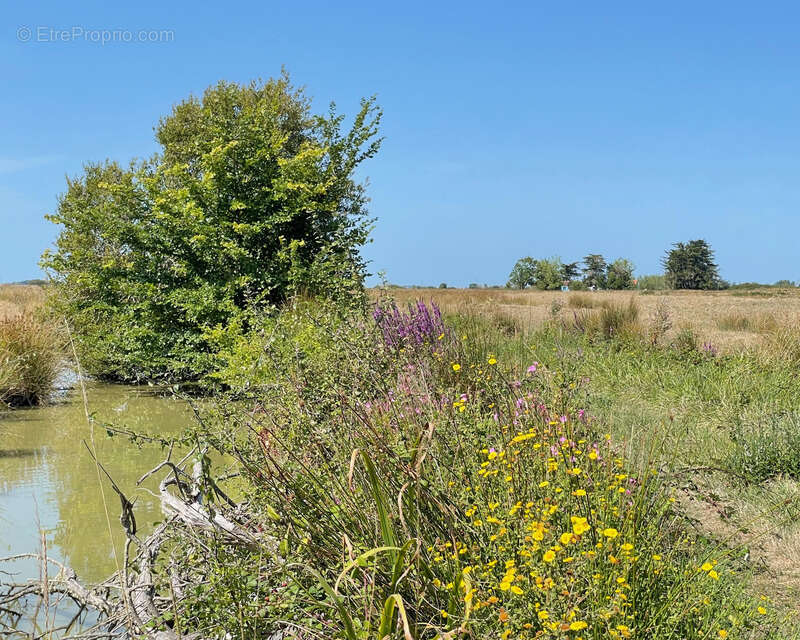 Maison à SAINT-GERVAIS