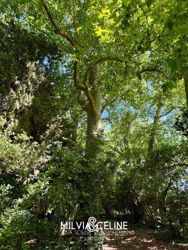 Maison à CARCASSONNE