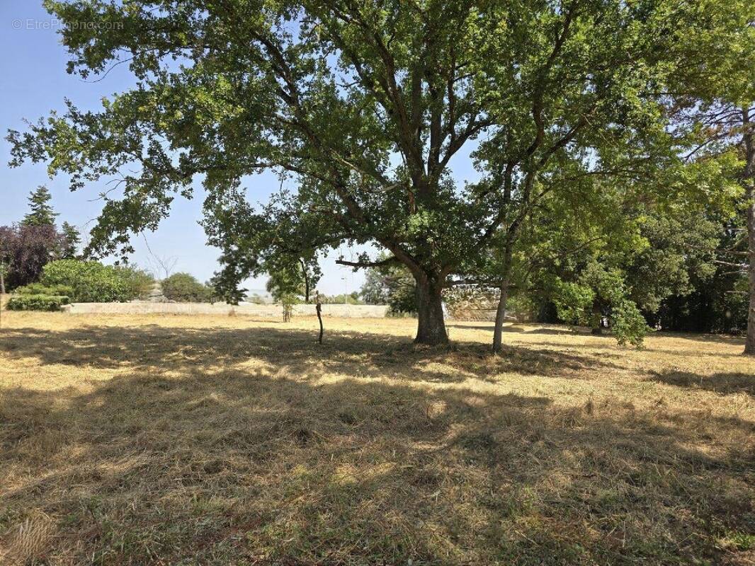 Terrain à TOURNEFEUILLE