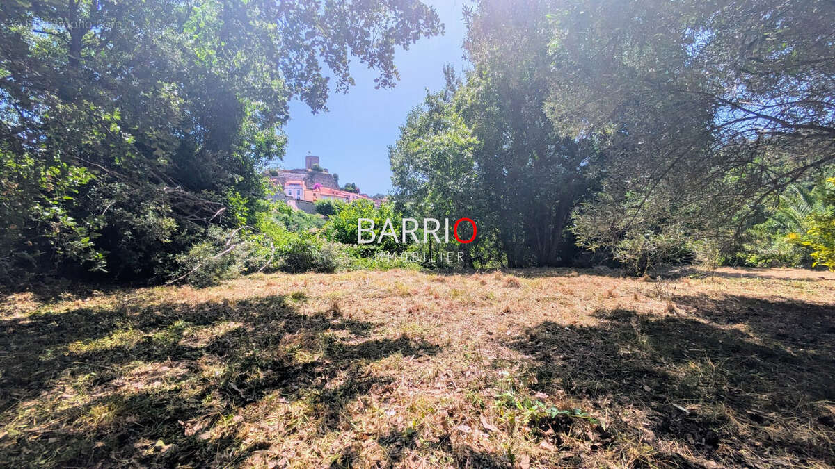 Terrain à LAROQUE-DES-ALBERES