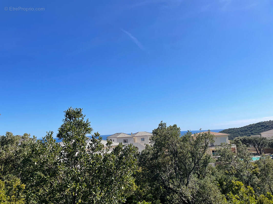 Terrain à SANTA-MARIA-DI-LOTA