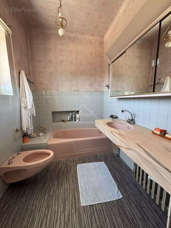 Rare dans le secteur de Gannat - photo 16