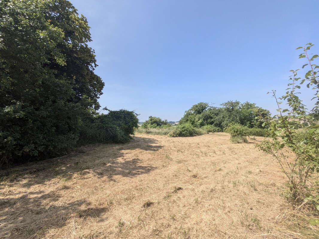 Maison à LA CHAPELLE-BLANCHE-SAINT-MARTIN