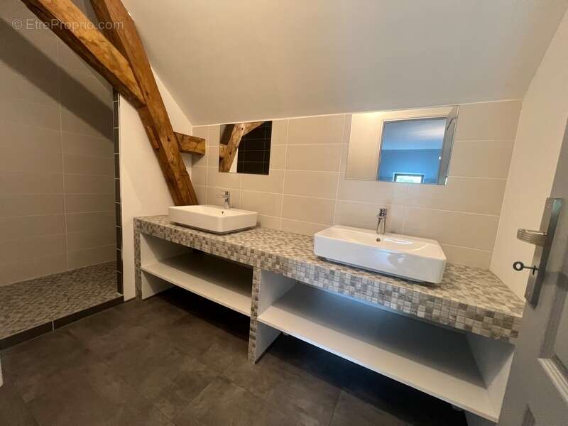 Propriete d’exception aux portes de la Touraine - 375m2 - 3 hectares - photo 8