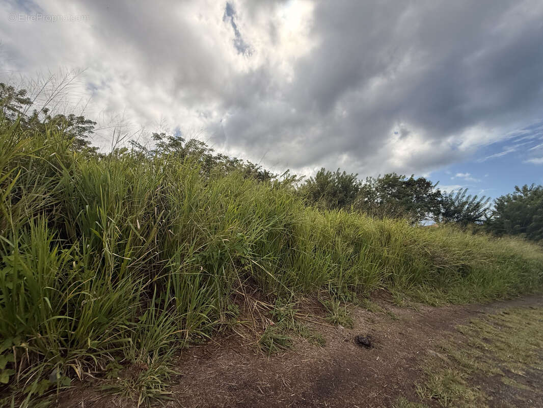 Terrain à SAINT-PIERRE