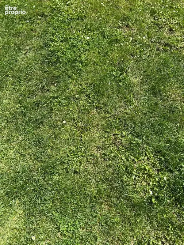 Terrain à LA FERTE-SOUS-JOUARRE