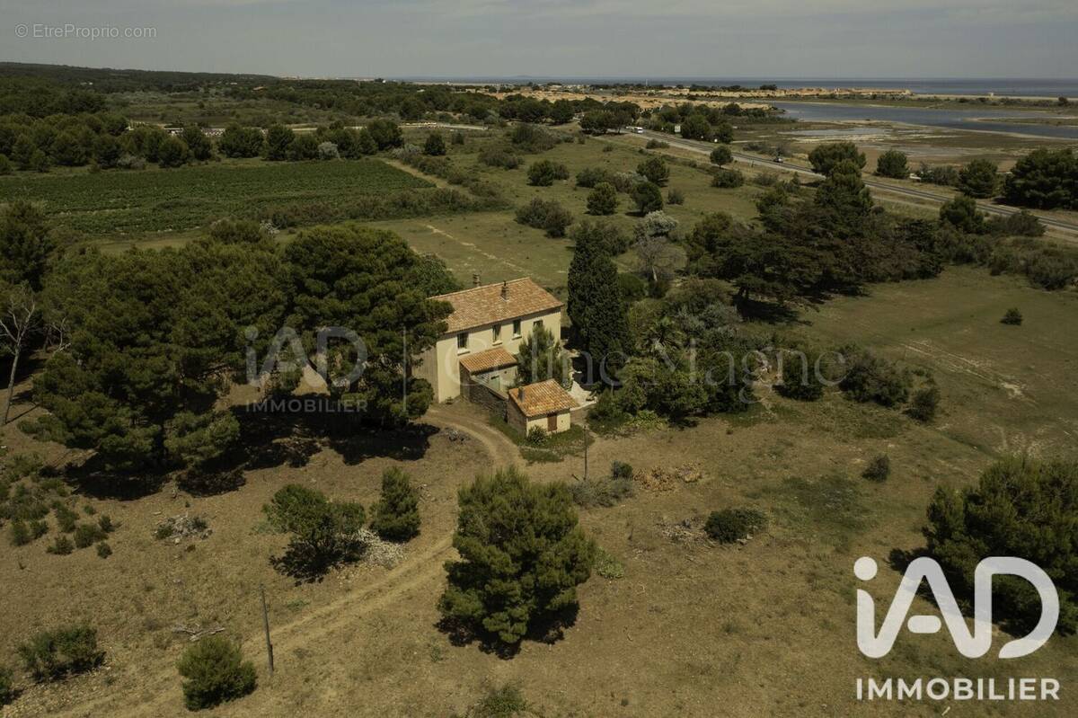 Photo 1 - Maison à GRUISSAN