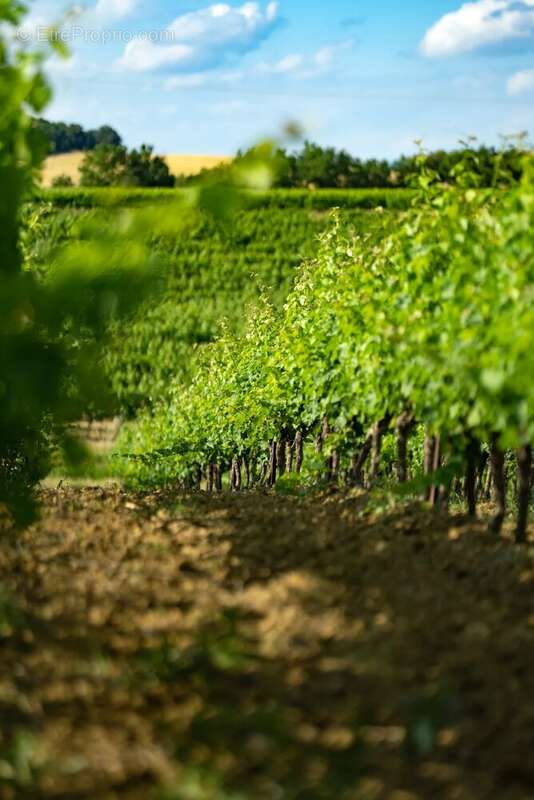 Maison à CARCASSONNE