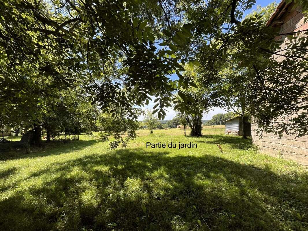 jardin côté ouest - Maison à BEDEILLE