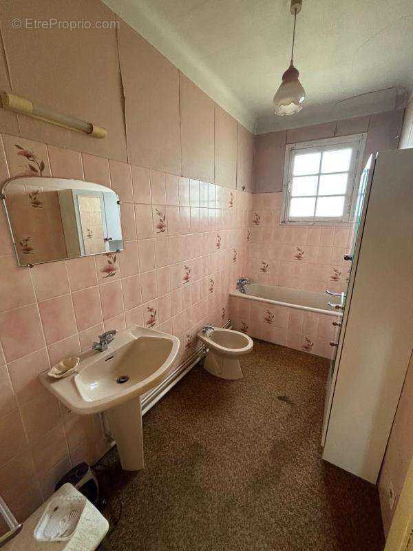 Maison à vendre 7 pièces TERCIS LES BAINS (40), avec deux terrains détachables - photo 23