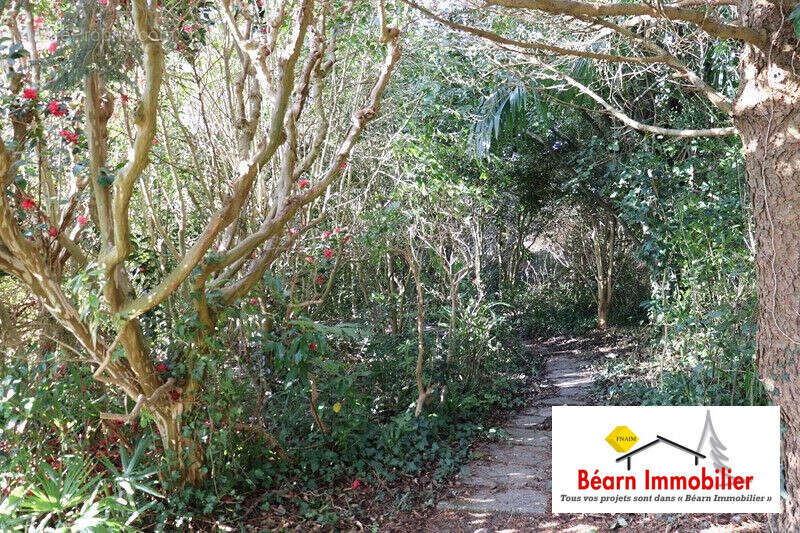 Maison à SALIES-DE-BEARN