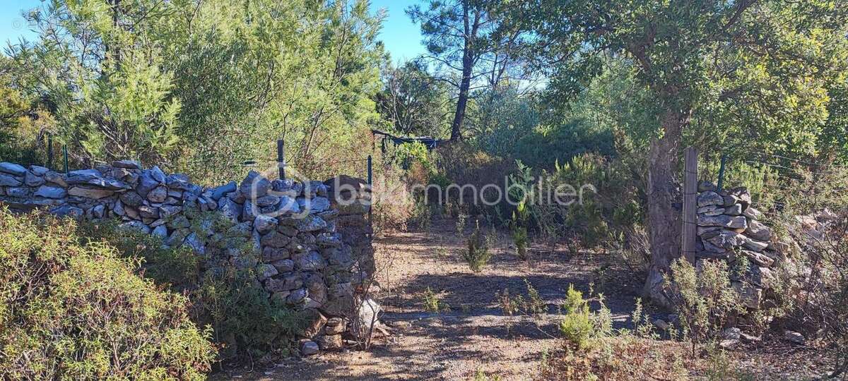 Terrain à ROQUEBRUNE-SUR-ARGENS