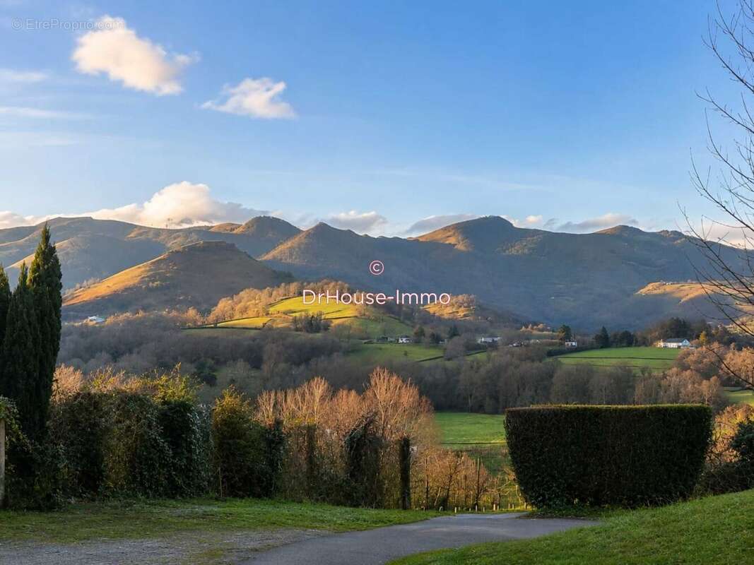 Maison 170 m² à Tardets-Sorholus  - photo 4