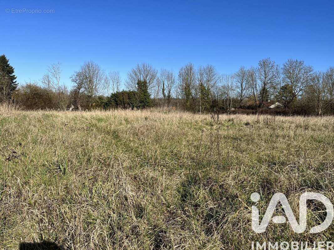 Photo 3 - Terrain à REFFANNES