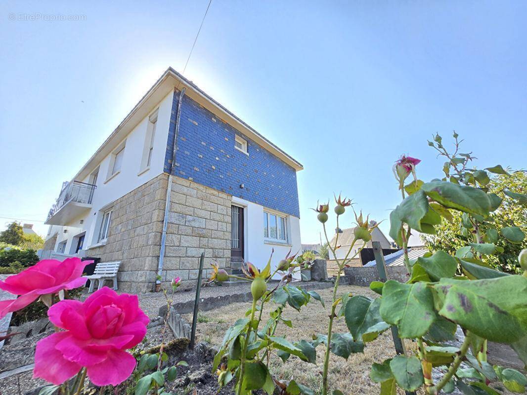 Maison à BELZ