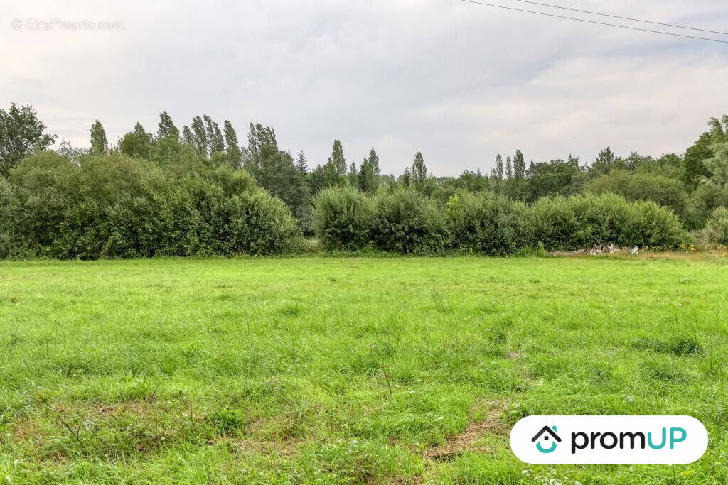 Terrain à SAINT-MARS-LA-BRIERE