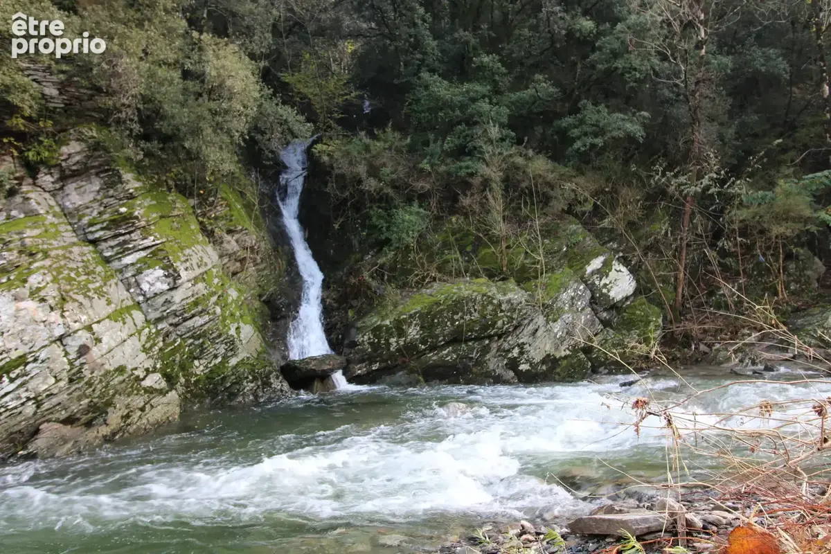 MAS 360 de volume + 25 hectares. - photo 133