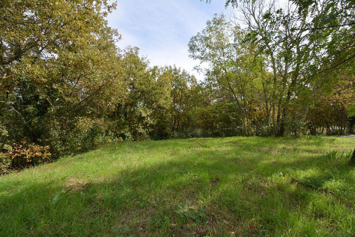 Terrain  1794 m2 - photo 2