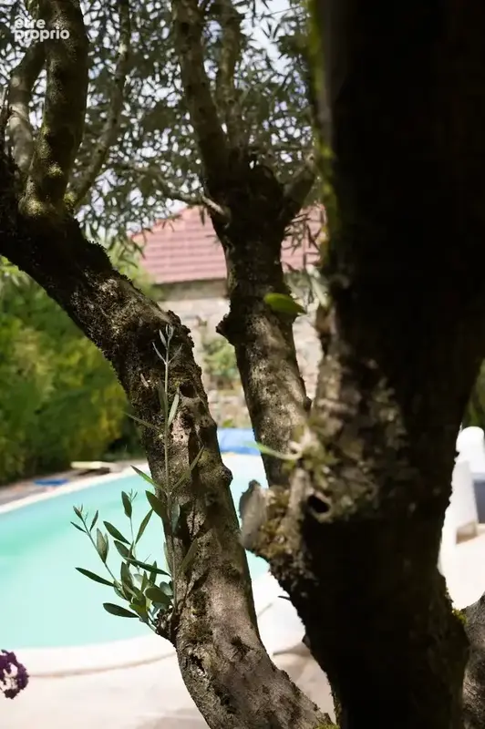 Maison 15 pièces 395 m² à vendre à Cholet (49300) - photo 6