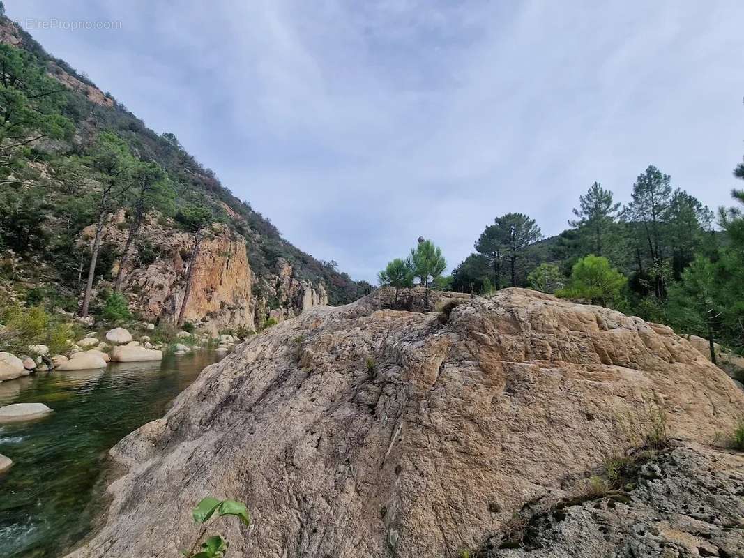 Maison à SARI-SOLENZARA