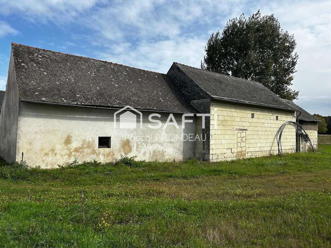 Photo 8 - Maison à CHOUZE-SUR-LOIRE