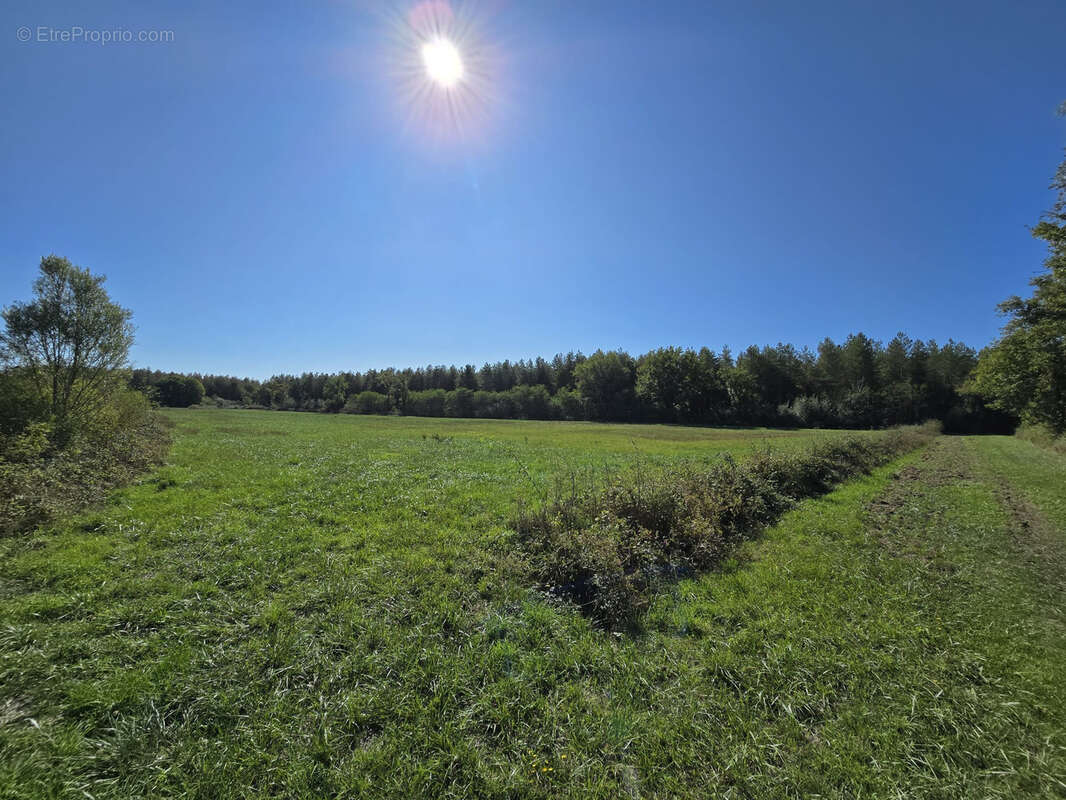 Terrain à NEUILLY-EN-DUN