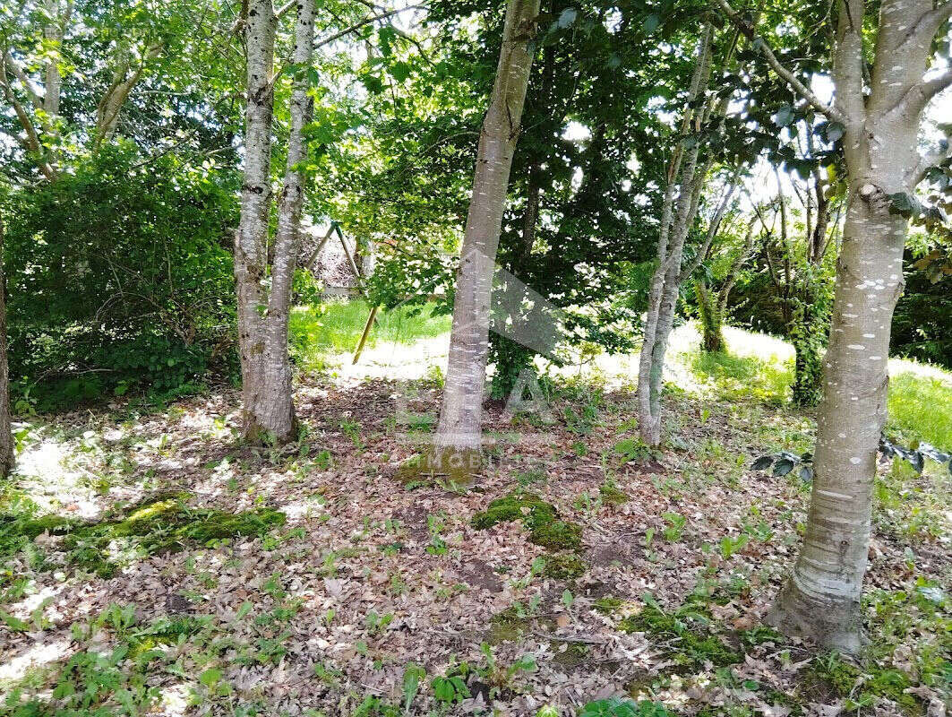 Autre à DOMFAING