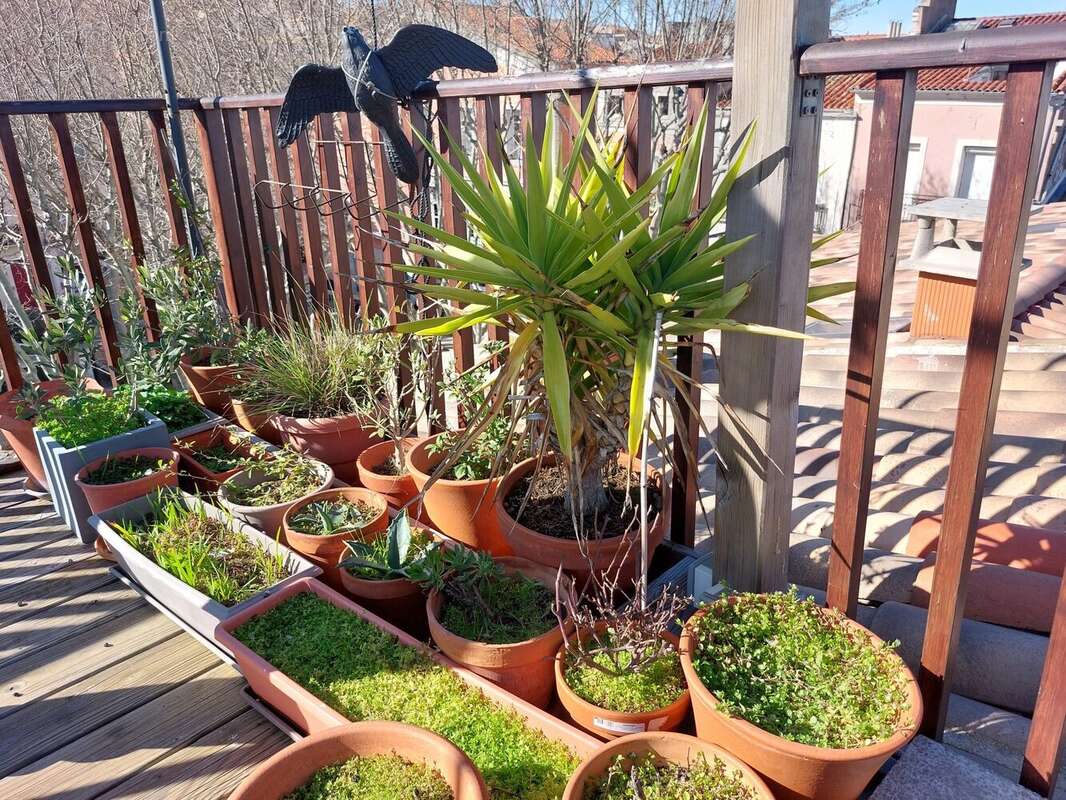 Terrasse - Appartement à SETE