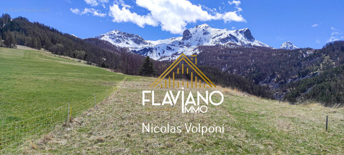 Terrain à BARCELONNETTE