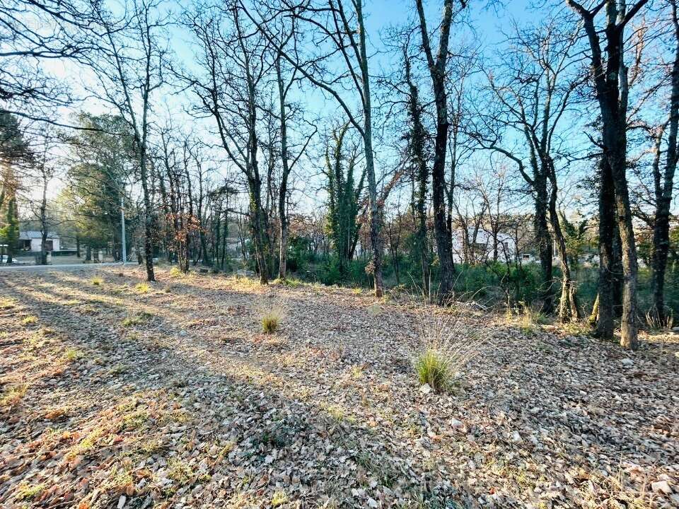 Terrain à TRANS-EN-PROVENCE