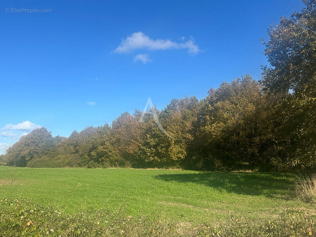 Terrain à TREFFIEUX