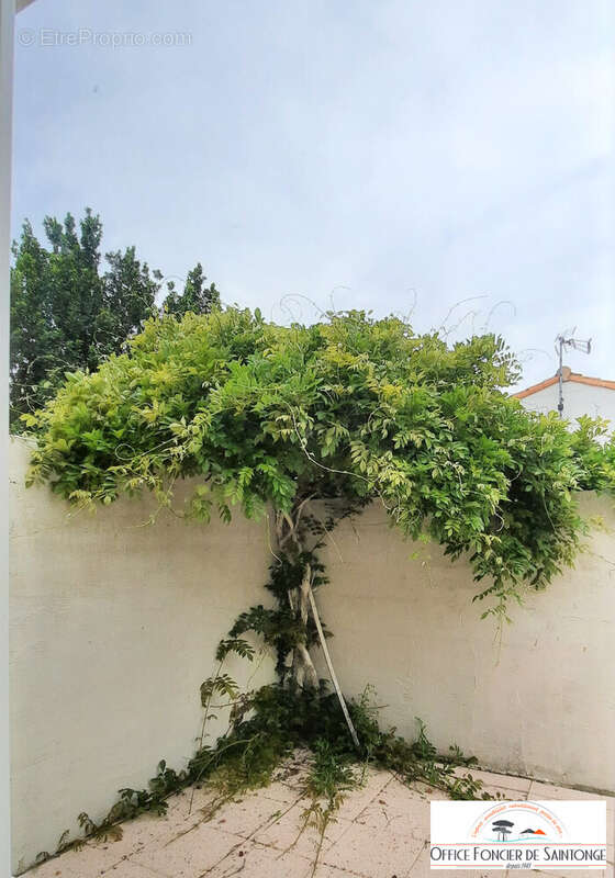 Maison à SAINTE-GEMME