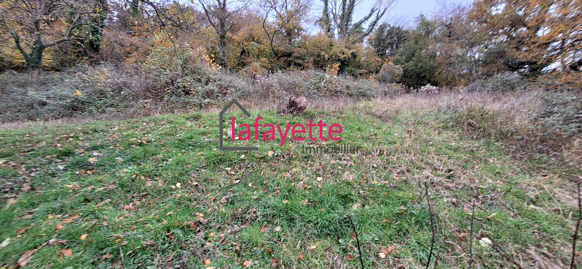 Terrain à LILLEBONNE